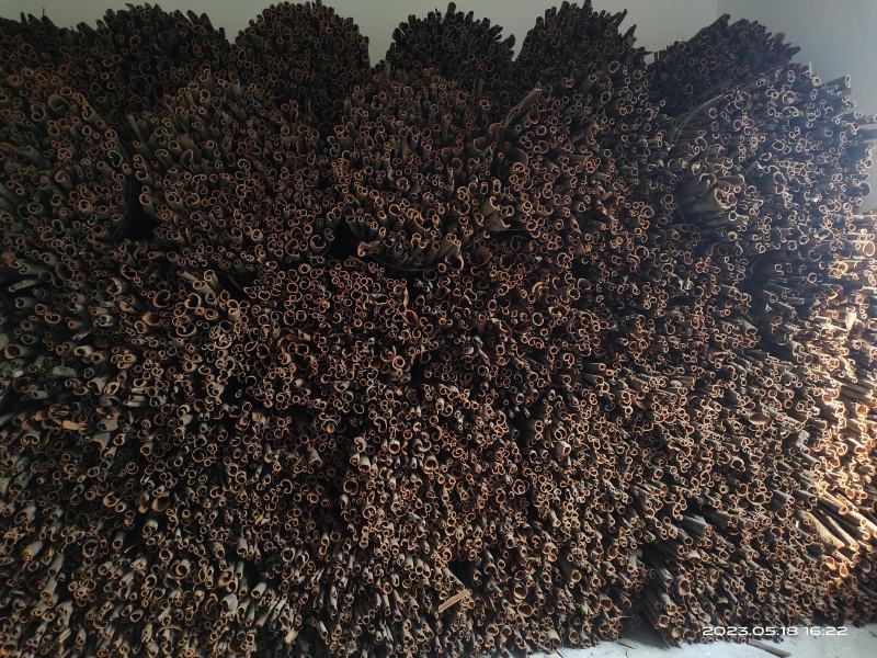 广东桂皮，我们这边镇上最起码有5万干的桂皮