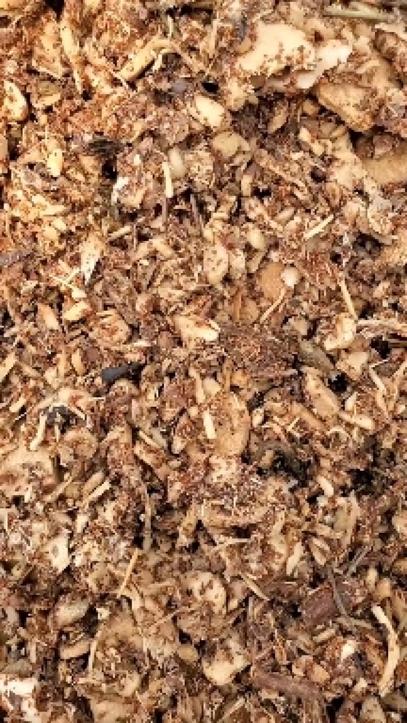养殖好伴侣，人参，黄芪中药渣，促生长，抗病