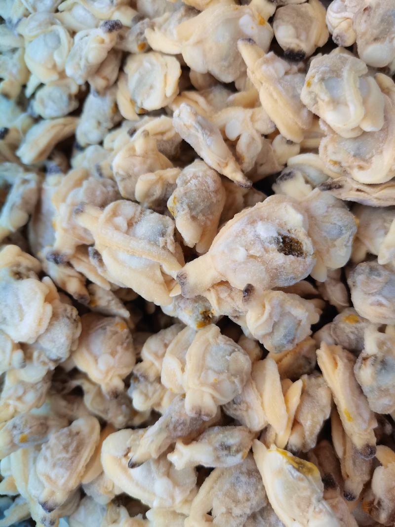 无冰无沙花甲肉文蛤贝壳肉嘎啦肉黄，饭店，捞汁