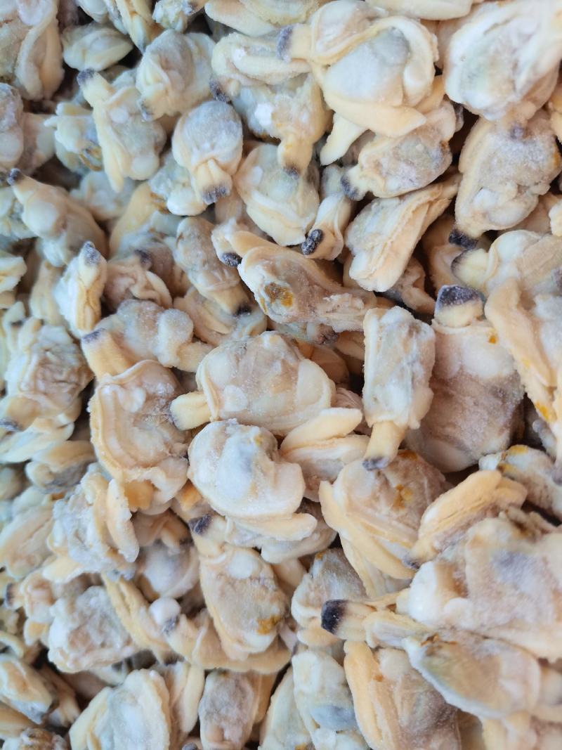 无冰无沙花甲肉文蛤贝壳肉嘎啦肉黄，饭店，捞汁