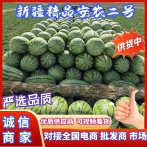 【推荐精品】新疆西瓜！安农二号西瓜！产地直发欢迎考察合作