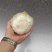 固安精品大娃娃菜大量上市