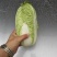 固安精品大娃娃菜大量上市