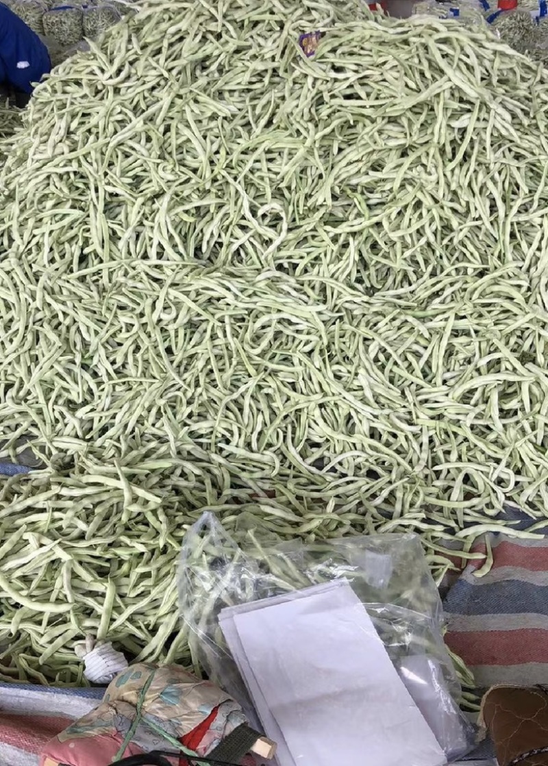 【荐】辽宁白豆角大量供应全国发货可视频看货
