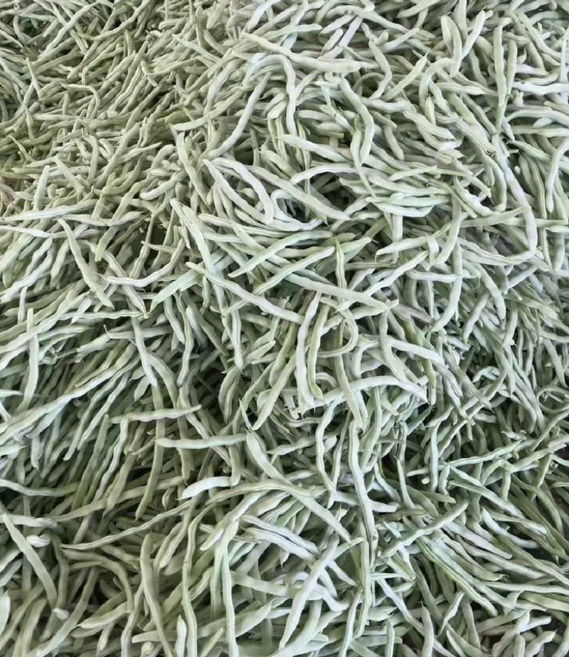 【荐】辽宁白豆角大量供应全国发货可视频看货