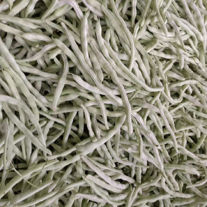 【荐】辽宁白豆角大量供应全国发货可视频看货