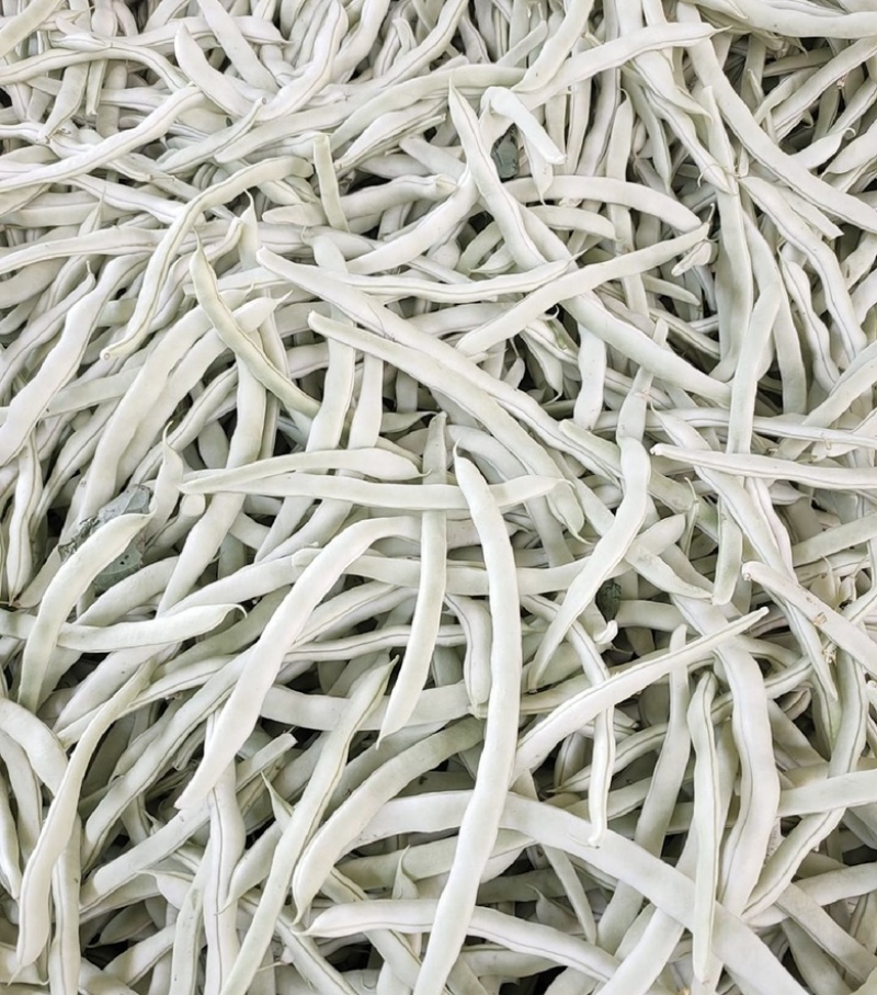 【全国发货】无筋豆无丝豆大量供应产地
