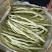 【全国发货】无筋豆无丝豆大量供应产地