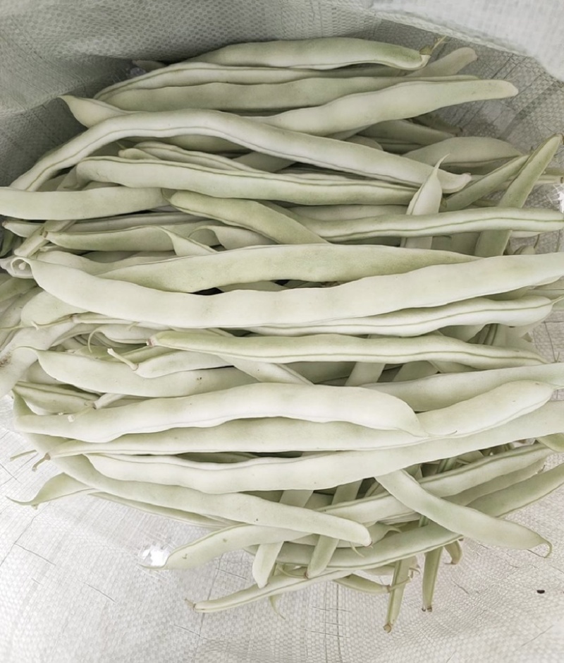 【全国发货】无筋豆无丝豆大量供应产地