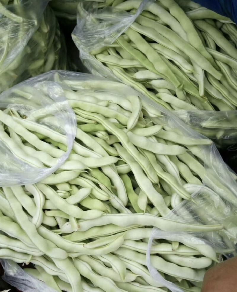 【全国发货】无筋豆无丝豆大量供应产地