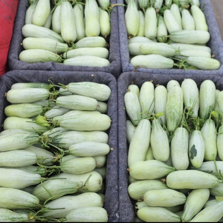 绿宝香瓜切片摆盘图