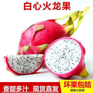 [现摘现发]白心火龙果新鲜5-10斤应当季热带水果