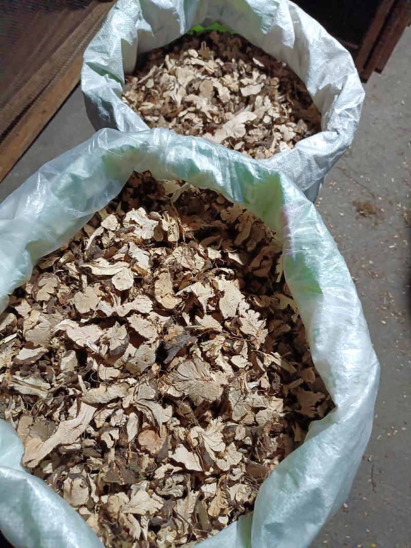 野生金荞麦，质量保证，欢迎选购