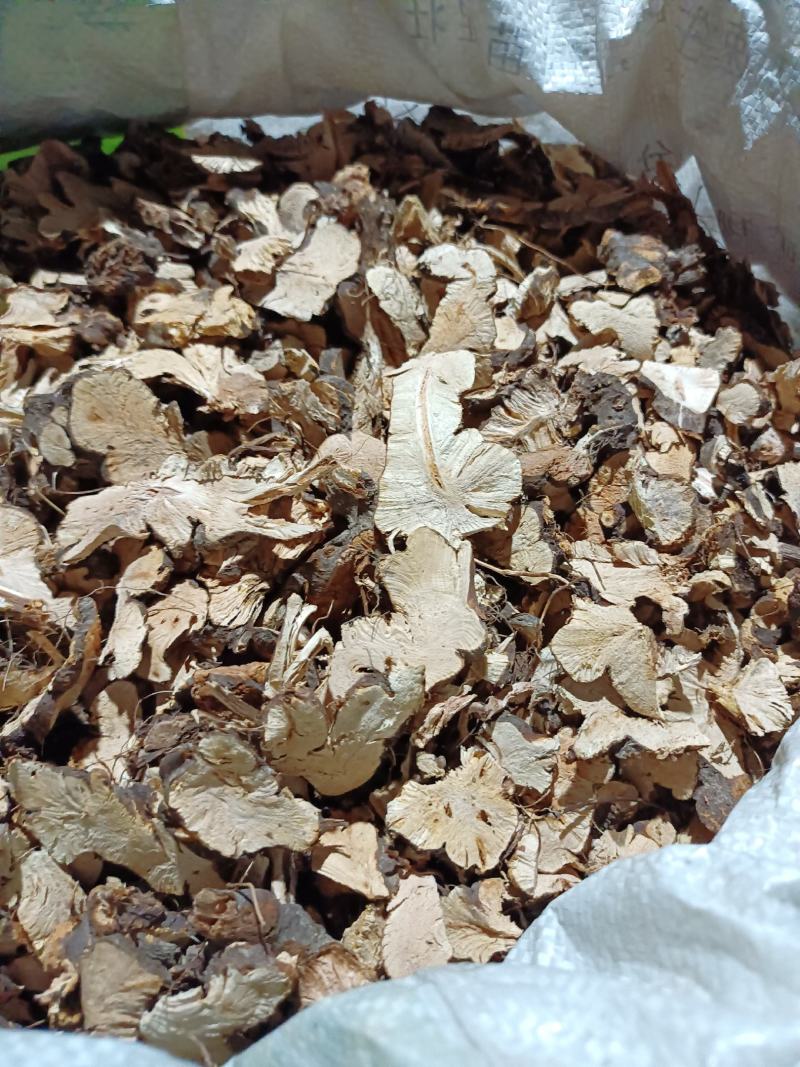 野生金荞麦，质量保证，欢迎选购