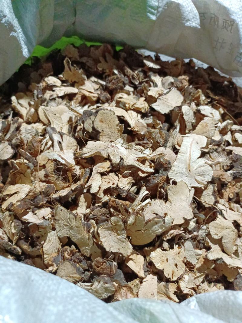 野生金荞麦，质量保证，欢迎选购