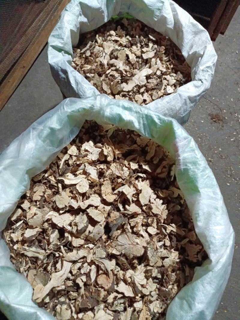 野生金荞麦，质量保证，欢迎选购