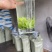四川小叶苦丁青山绿水茶