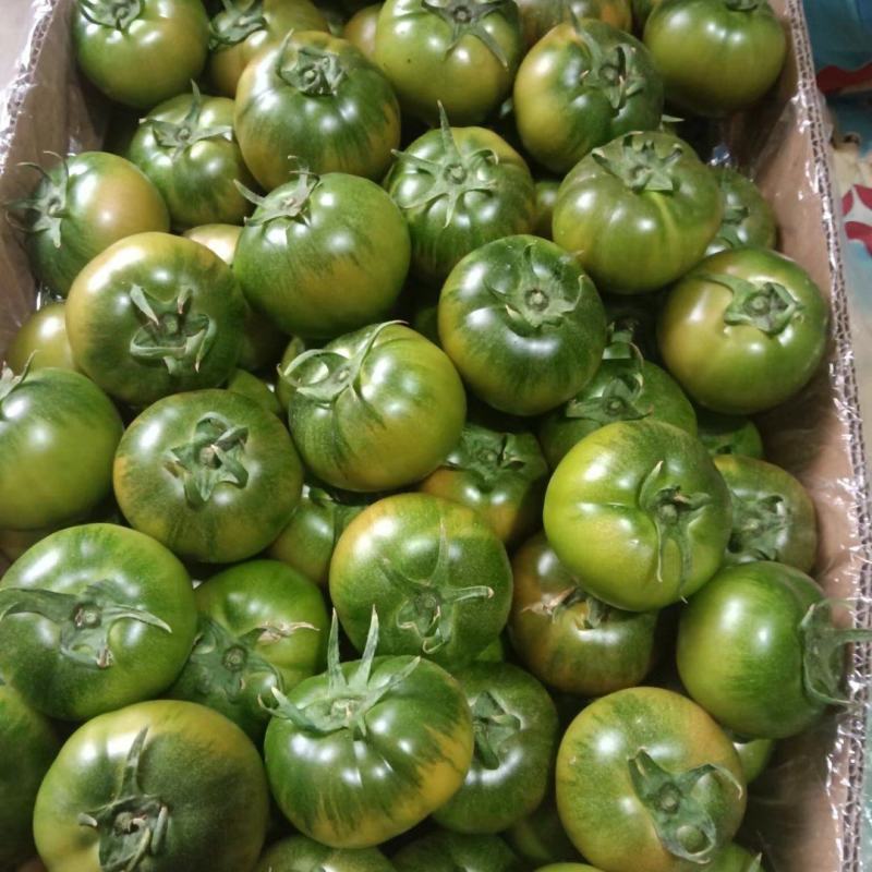 精品草莓柿子