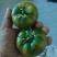 精品草莓柿子