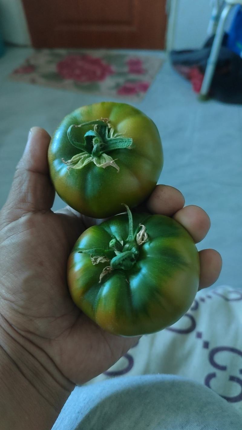 精品草莓柿子