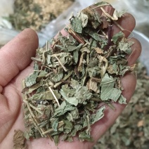 仙鹤草龙牙草天然晒干现货供应鲁赣中药材批发