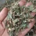 仙鹤草龙牙草天然晒干现货供应鲁赣中药材批发