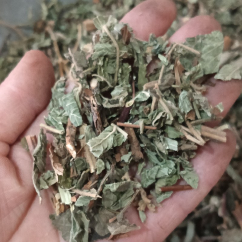 仙鹤草龙牙草天然晒干现货供应鲁赣中药材批发