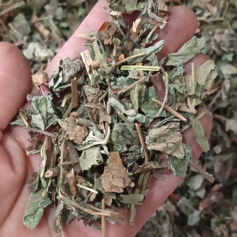 仙鹤草龙牙草天然晒干现货供应鲁赣中药材批发