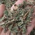 仙鹤草龙牙草天然晒干现货供应鲁赣中药材批发