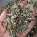 仙鹤草龙牙草天然晒干现货供应鲁赣中药材批发