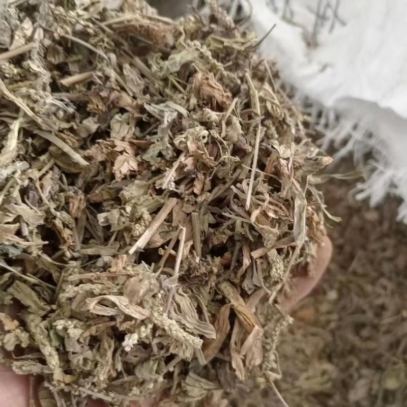 车前草猪耳朵草现货供应鲁赣中药材批发