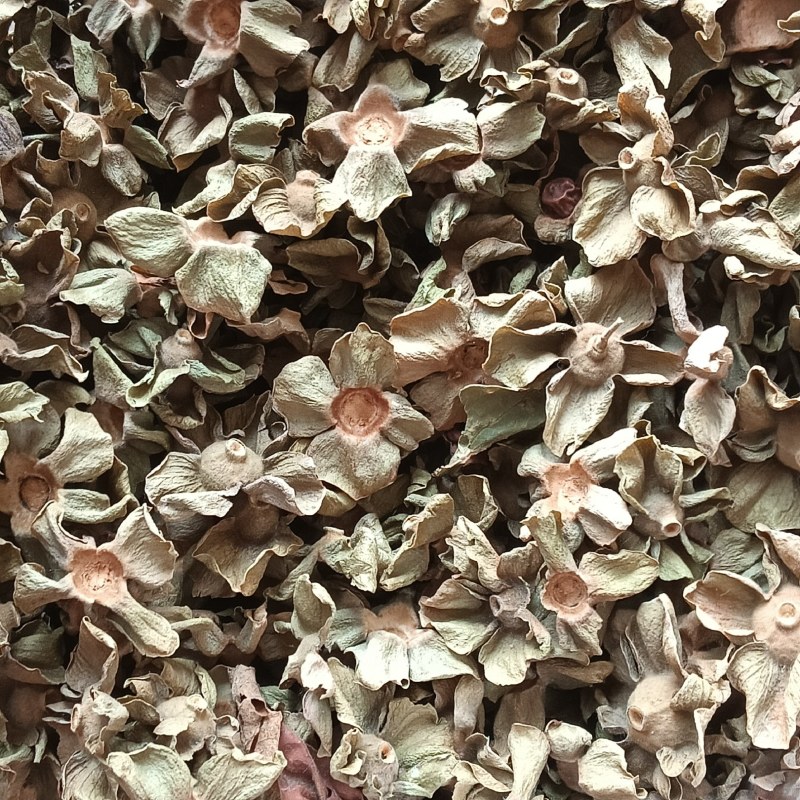 柿蒂柿子蒂柿钱柿丁现货供应鲁赣中药材批发