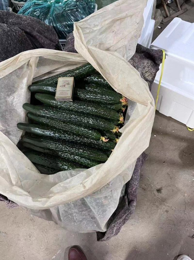 密刺黄瓜产地直发货源直发，口感脆甜，量大优惠