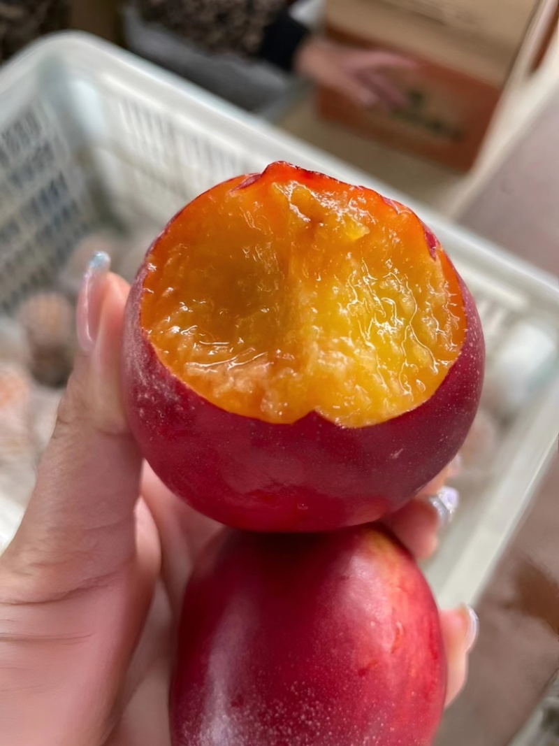 红油桃也可一件代发