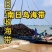 福建南日岛精品无沙干海带