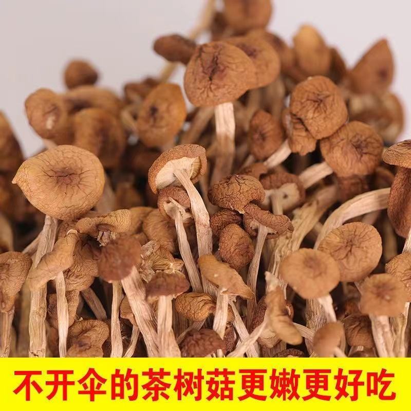 茶树菇大别山区金寨特产250g/袋