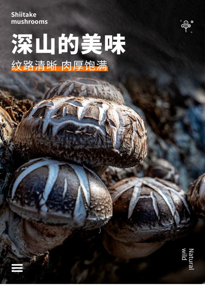 香菇，花菇大别山区金寨特产