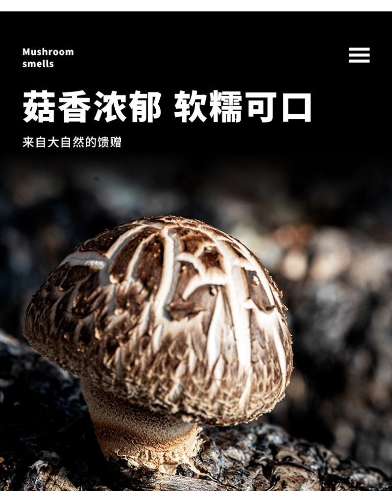 香菇，花菇大别山区金寨特产