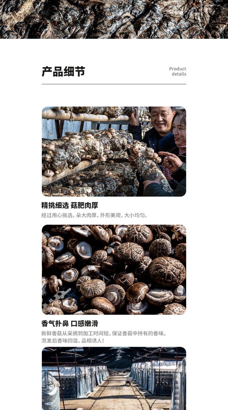 香菇，花菇大别山区金寨特产