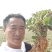 专业培育的地黄栽子，北京脱毒新3号，保证质量，价格优惠