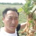 专业培育的地黄栽子，北京脱毒新3号，保证质量，价格优惠