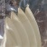 甜竹笋