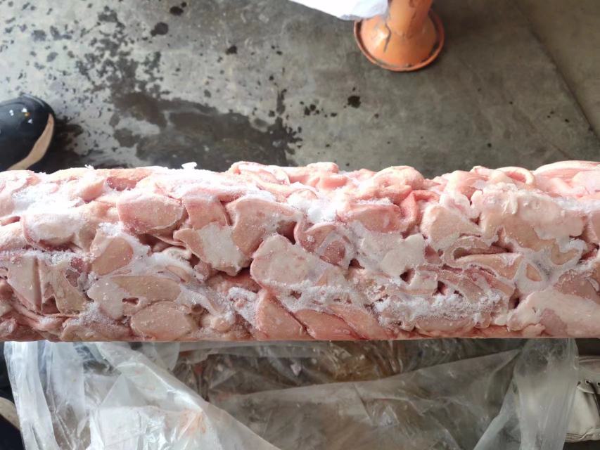 猪生猪运输过程