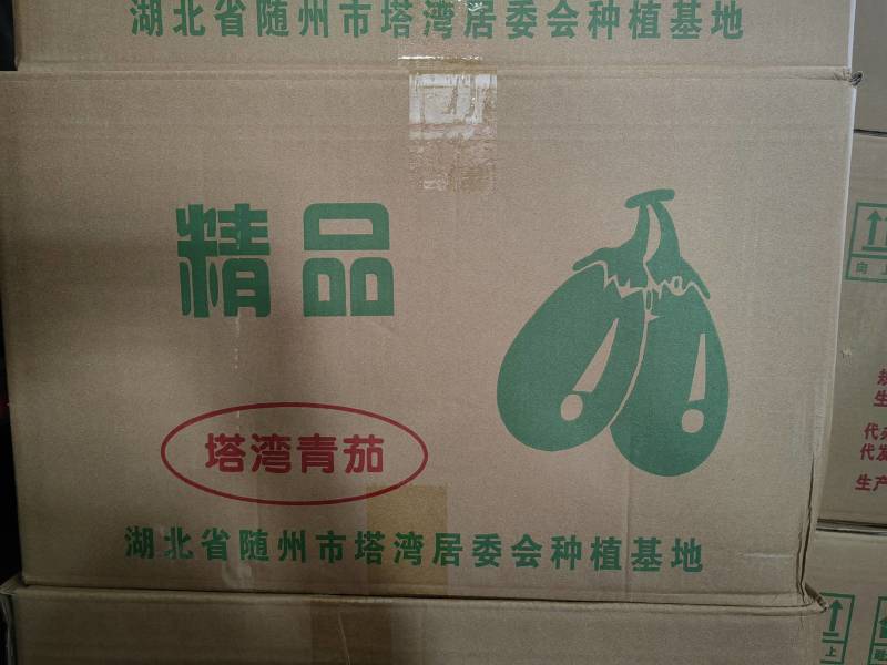 随州精品青茄