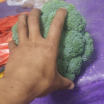 炎秀大量上市，欢迎你的到来