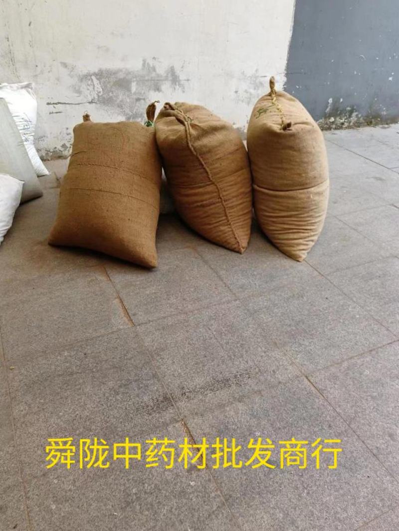 砂仁实拍现货产地一手货源货干24小时内发货