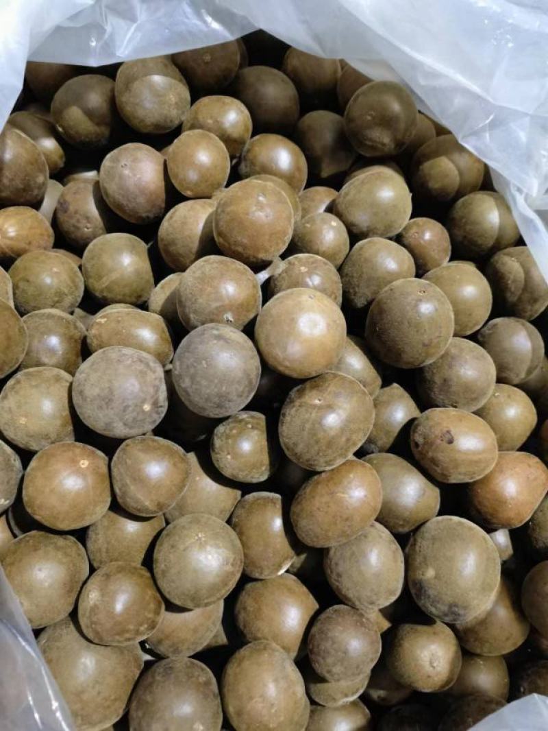 厂家直销罗汉果新货桂林产供电商果地摊果
