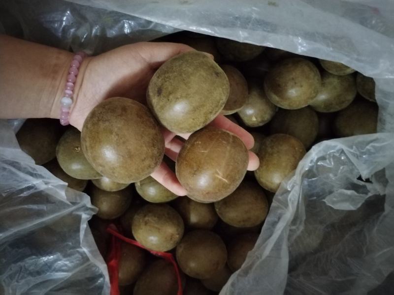 厂家直销罗汉果新货桂林产供电商果地摊果