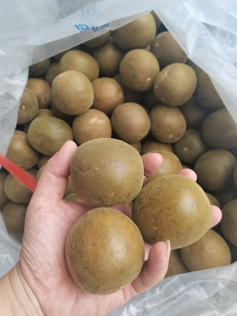 厂家直销罗汉果新货桂林产供电商果地摊果