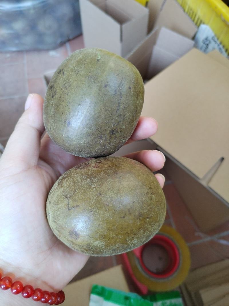 厂家直销罗汉果新货桂林产供电商果地摊果